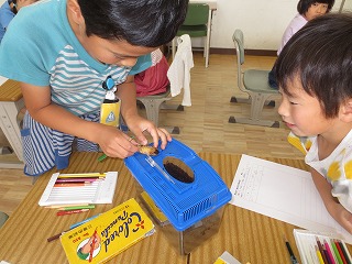 ２年生 生活科 生き物を育てよう 半田市立乙川東小学校